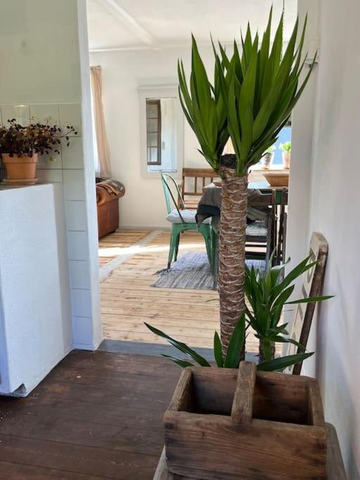 The Old Soap House - Stylish And Close To Beach Vang  Exteriér fotografie